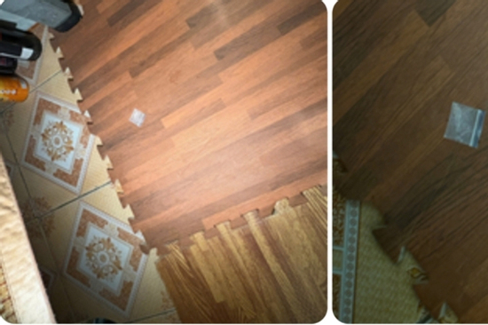 Bảo vệ trường tiểu học ở Hải Phòng tổ chức ‘bay lắc’ ngay nơi làm việc