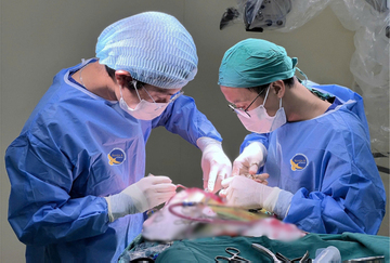 Tưởng con bị căng thẳng học tập, cha mẹ bàng hoàng khi nam sinh mắc bệnh nguy hiểm