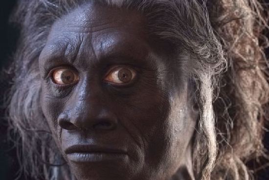 Vì sao loài người từng sống song song chúng ta ở Indonesia biến mất?