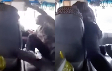 VIDEO: Đang điều khiển xe buýt, tài xế bị hành khách lao vào hành hung