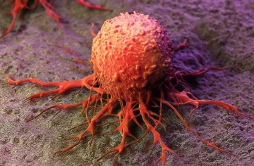 3 loại thịt là 'sát thủ ung thư', ăn càng nhiều càng dễ mắc bệnh!