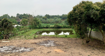 Từ 2026, chuyển đất vườn sang đất ở chỉ nộp 30%: Người dân hưởng lợi lớn