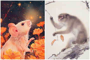 Tử vi 3 con giáp may mắn nhất thứ Bảy (13/12): Thần tài phát lộc, tiền của đầy nhà