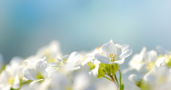 Ngày sinh Âm lịch tiết lộ số mệnh: Không sớm thành danh nhưng dễ giàu về sau