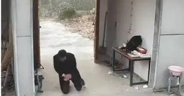 Người đàn ông quỳ lạy ngôi nhà cũ trước lúc rời quê và chuyện xúc động phía sau