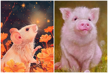 Tử vi 3 con giáp may mắn nhất thứ Ba (16/12): Hốt bạc liền tay, giàu có vang danh