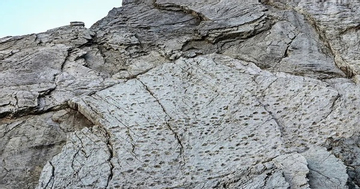 Kinh ngạc với những dấu chân trên vách đá dựng đứng