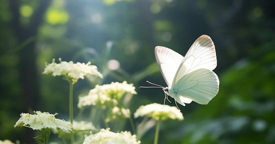 Số cuối ngày sinh Âm lịch tiết lộ vận mệnh: Không giàu sớm nhưng về già hưởng phúc lớn