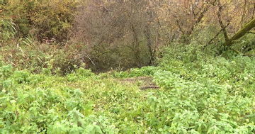 Án mạng rúng động ngôi làng nhỏ ở Pháp