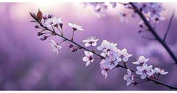 Giờ sinh Âm lịch quyết định vận mệnh: 5 khung giờ đưa chủ nhân vào nhóm vượng lộc