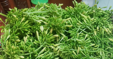 4 nhóm người nên tránh dùng hoa đu đủ đực