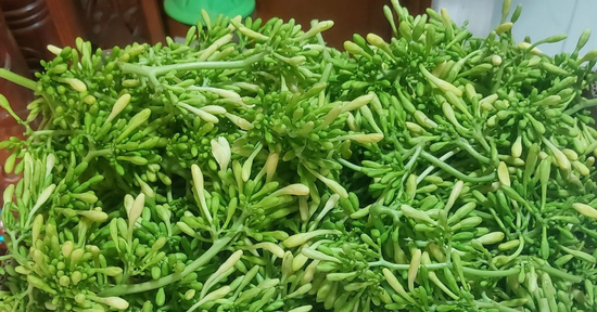 4 nhóm người nên tránh dùng hoa đu đủ đực