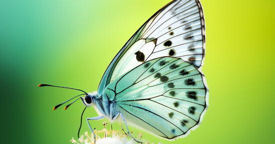 Số cuối ngày sinh Âm lịch của người không giàu sớm nhưng cũng không nghèo lâu