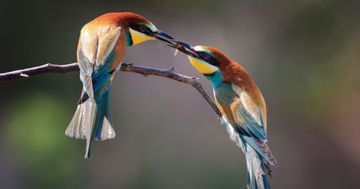 Phụ nữ sinh vào 3 tháng Âm lịch này được quý nhân che chở, sống an nhàn đến già