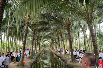 Chú rể Vĩnh Long làm 80 mâm cỗ ở vườn dừa 10.000m², mắc võng cho khách nghỉ ngơi