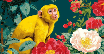 Tử vi 12 con giáp năm Bính Ngọ: Tổng quan tuổi Thân năm 2026