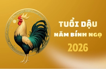 Tuổi Dậu năm 2026 có phạm Thái Tuế?