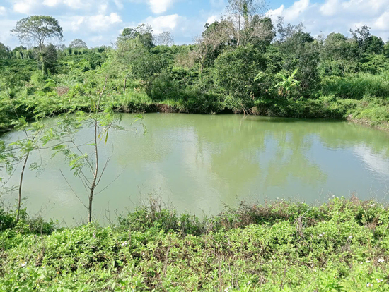 Ba trẻ nhỏ chết đuối thương tâm tại hồ tưới cà phê ở Đắk Lắk