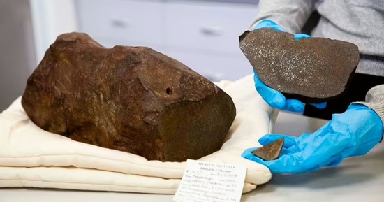 Đào đất tìm vàng, người đàn ông nhặt được thứ còn quý hơn vàng ngàn lần