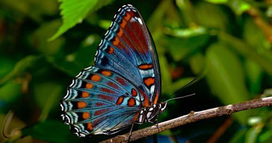 Ngày sinh Âm lịch của người đang có vận tài lộc nở rộ, sắp có khoản tiết kiệm lớn trong vài năm tới