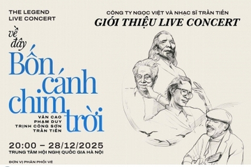 Ban tổ chức đêm nhạc 'Về đây bốn cánh chim trời' có thể chịu mức phạt nào?