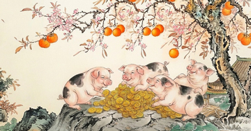 Cách hóa giải vận hạn cho tuổi Hợi năm 2026: Bình tâm vượt hạn, tích phúc đổi vận