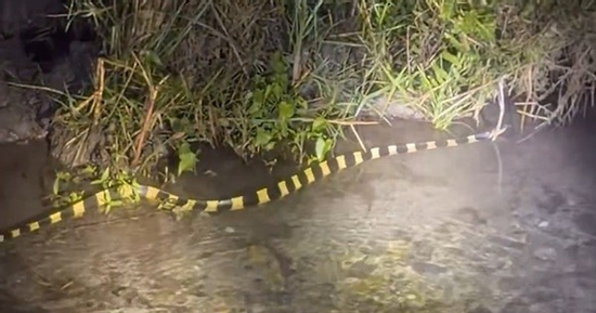 Đi tuần tra, người đàn ông bắt gặp cảnh tượng đáng sợ trong đêm