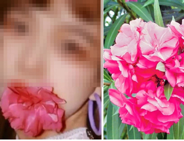 Bốn loại 'hoa xui xẻo' nhưng nhiều người bỏ tiền mua