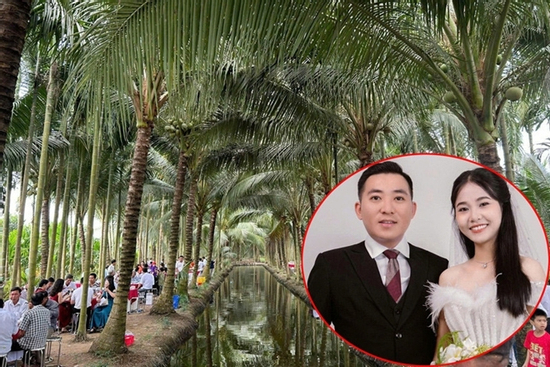 Chú rể làm tiệc cưới ở vườn dừa 10.000m² và loạt đám cưới ‘triệu view’ năm 2025