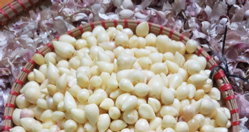 Đặc sản dưới lòng đất được ví như ‘lộc trời’ ở Sơn La, giá đắt đỏ vẫn hút khách