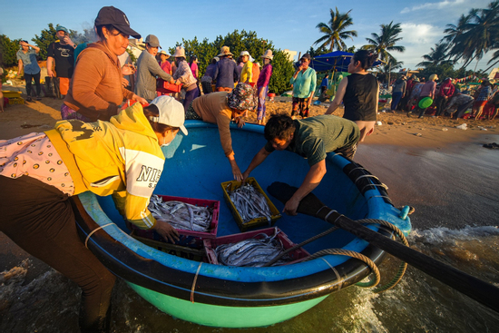 Bia Bivina ra mắt diện mạo Tết, đồng hành sát cánh cùng người dân miền biển