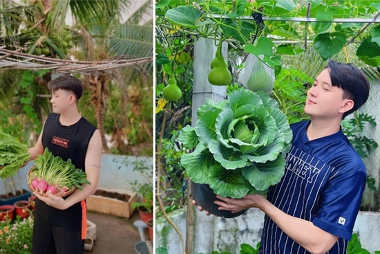 Chàng trai Đồng Tháp biến sân trọ 3m2 thành vườn đẹp mê, rau trái ăn không hết