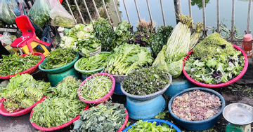 Giá rau xanh ở chợ giảm mạnh: Su hào 12.000 đồng/củ, cải mơ 50.000 đồng/kg