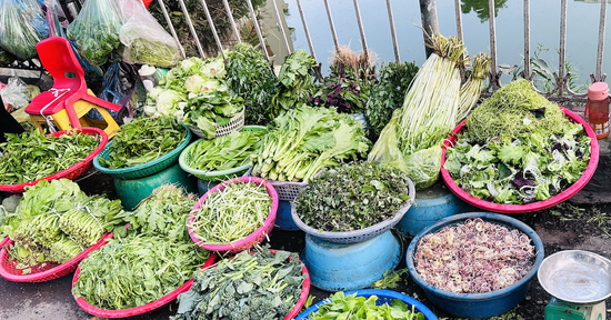 Giá rau xanh ở chợ giảm mạnh: Su hào 12.000 đồng/củ, cải mơ 50.000 đồng/kg