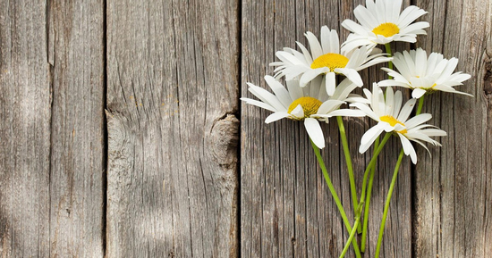 Số cuối ngày sinh Âm lịch của người sống tinh tế và biết yêu bản thân