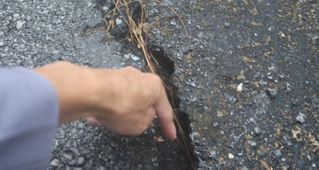 Vết nứt bất thường trên Đèo Ngang, gần nơi giun đất chết khô la liệt