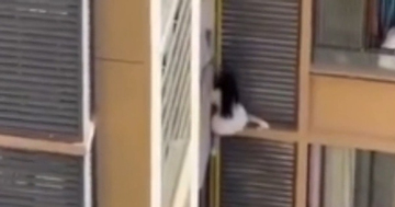 Người phụ nữ trèo ra khỏi cửa sổ căn hộ chung cư khiến hàng xóm sốc nặng