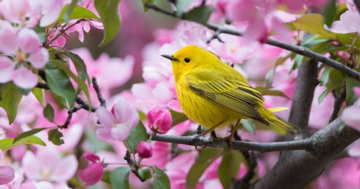 Tháng sinh Âm lịch tiết lộ người bản lĩnh và nghị lực, cuộc đời sóng gió mấy cũng đứng vững