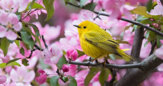 Tháng sinh Âm lịch tiết lộ người bản lĩnh và nghị lực, cuộc đời sóng gió mấy cũng đứng vững