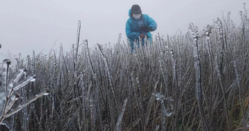 Miền Bắc lại sắp đón không khí lạnh mạnh 