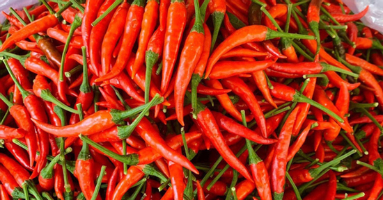 Giá rau xanh hạ nhiệt, ớt tươi cao bất thường 160.000 đồng/kg