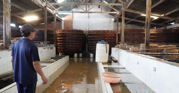 Làng nước mắm ở Lâm Đồng tan hoang sau lũ, thiệt hại hàng tỷ đồng