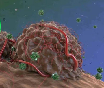 Nghiên cứu chỉ rõ ô nhiễm không khí kích hoạt tế bào ung thư