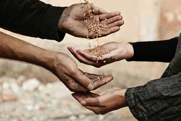 Những vụ dùng tiền từ thiện để mua biệt thự, siêu xe gây chấn động