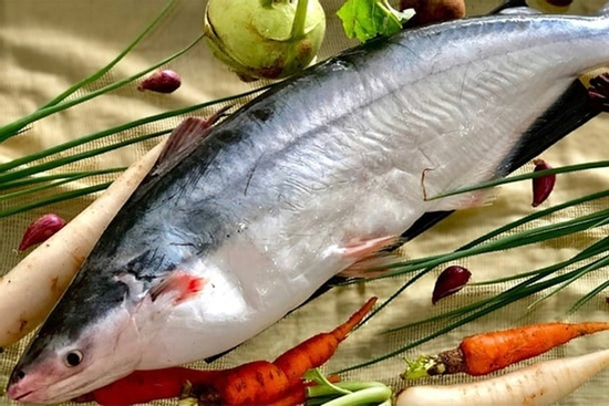 Cách phân biệt cá dứa và cá ba sa