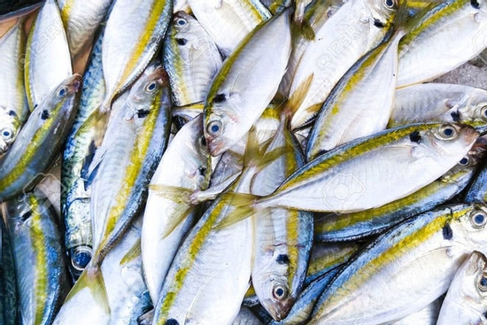 Cách nhận biết cá biển ướp urê