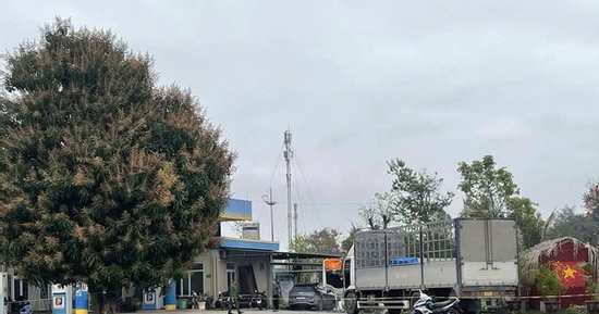 Tài xế tử vong khi ngủ qua đêm trong ca bin xe tải