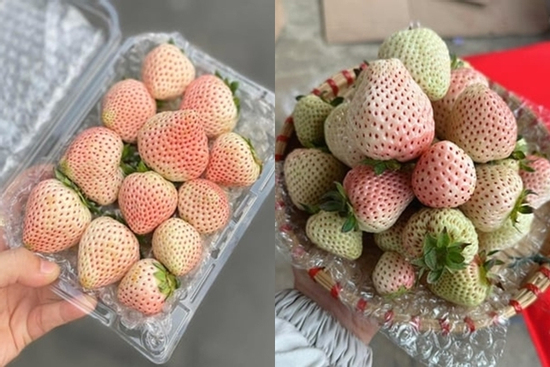 Loại quả từng có giá triệu đồng/kg nay bán rẻ bèo trên 'chợ mạng'