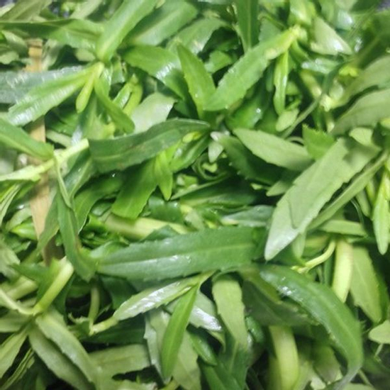 Loại rau có tên lạ ai cũng từng ăn nhưng là