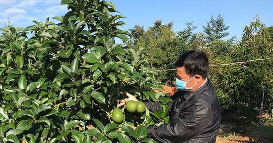 Chuyên trang ẩm thực Anh đánh giá đây là 3 trái cây tốt nhất thế giới: Việt Nam có đủ cả 3